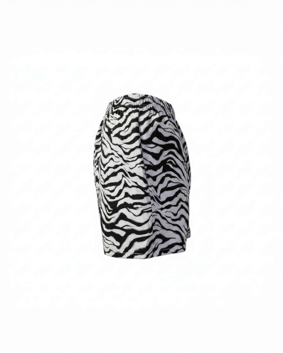 Electric Zebra  4